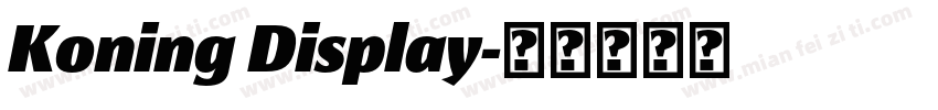 Koning Display字体转换
